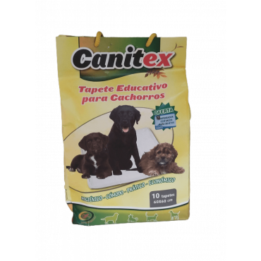 Tapete educativo para cachorros