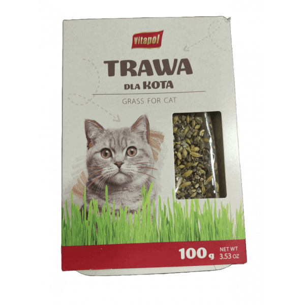 Sementes de Erva para Gatos - 100 gr