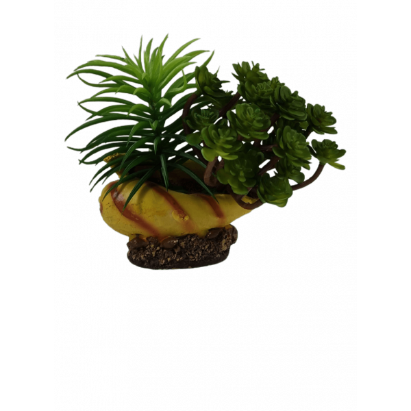 Decoração para aquário - Búzio com planta