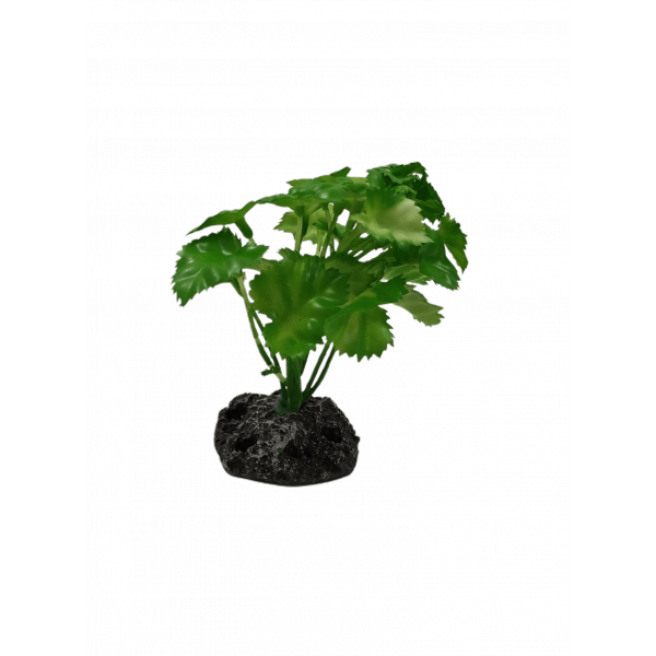 Planta Decorativa Aquário 10 cm - Arbusto