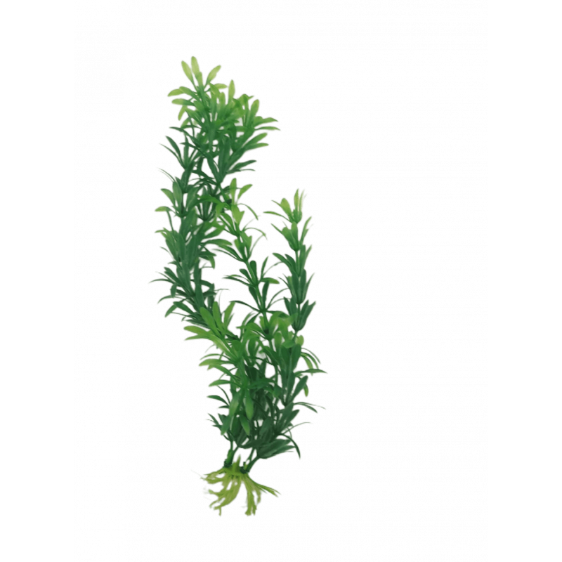 Planta Decorativa para Aquário