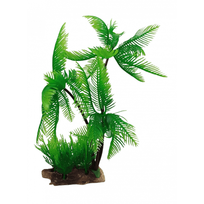 Planta para Aquário Alta - Palmeira