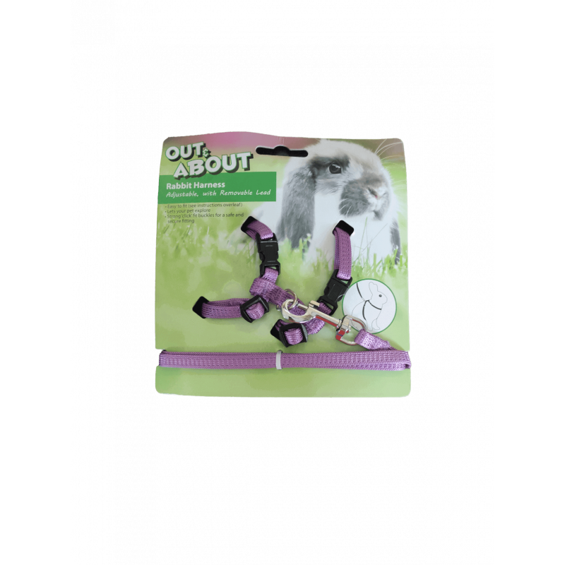 Conjunto Trela + peitoral para roedores - Roxo