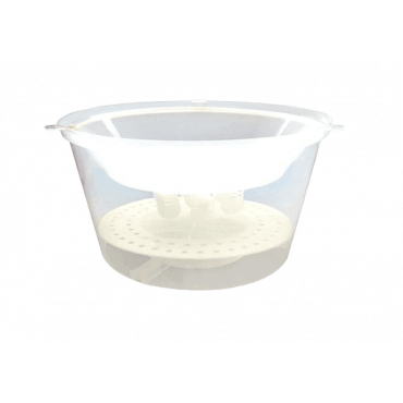 Armadilha para Vespa...