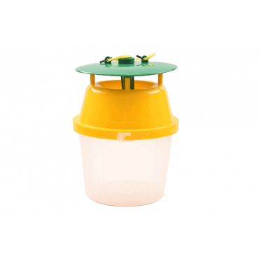 Armadilha para vespa velutina
