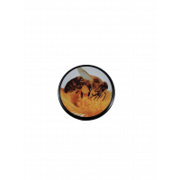 Tampa metalica com abelha para frasco Tampa metalica com a...