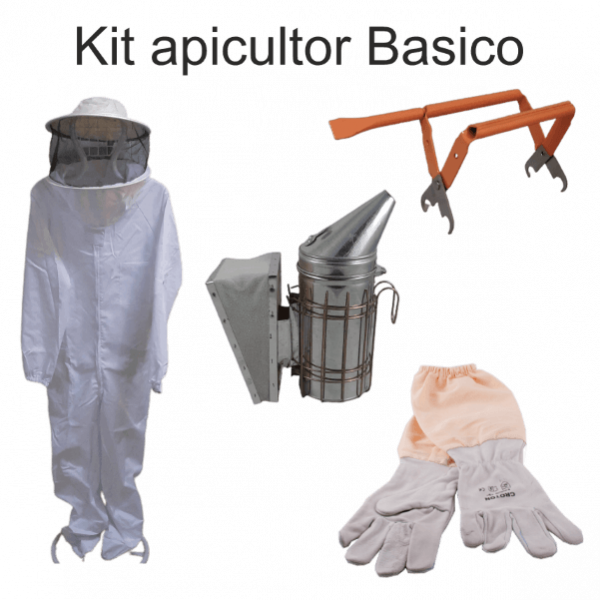 Kit iniciação apicultura basico