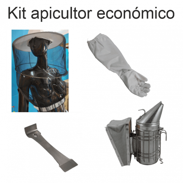 Kit iniciação apicultura económico 