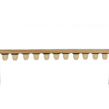 Barra lusitana para criação de rainhas 