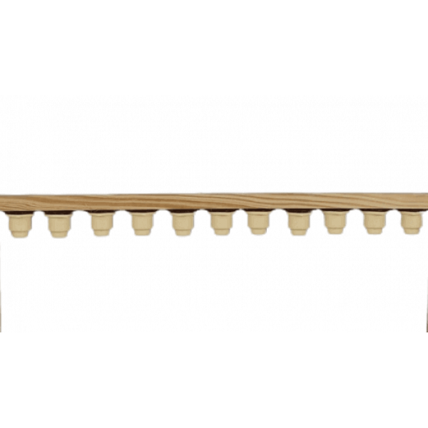 Barra lusitana para criação de rainhas 