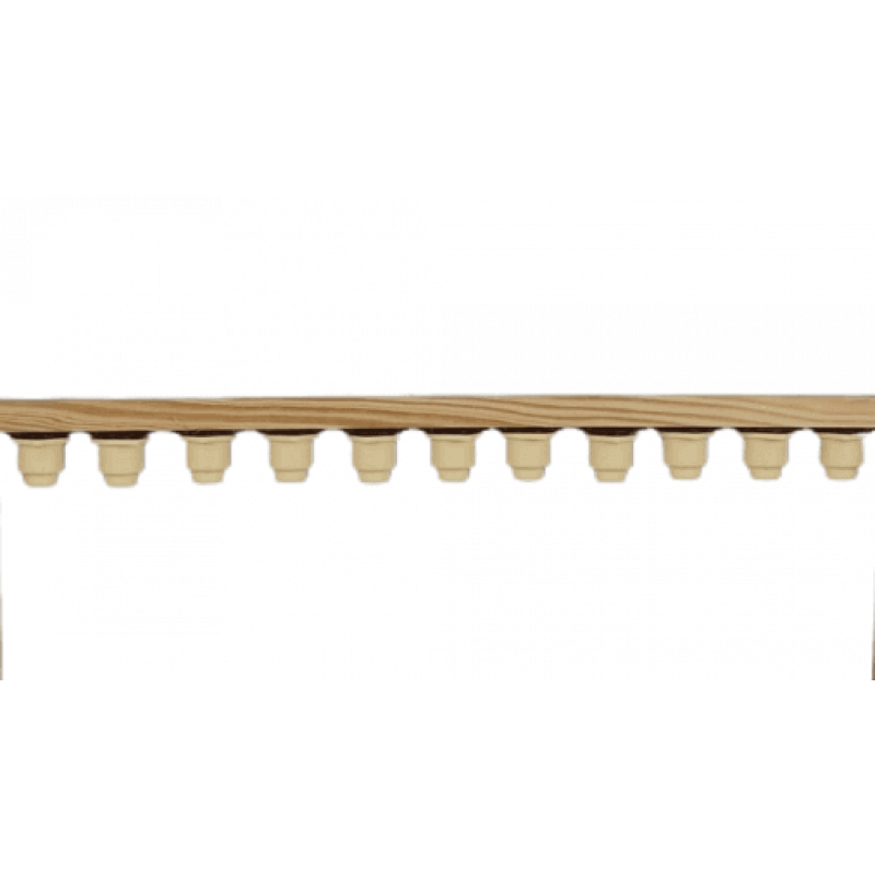 Barra lusitana para criação de rainhas 