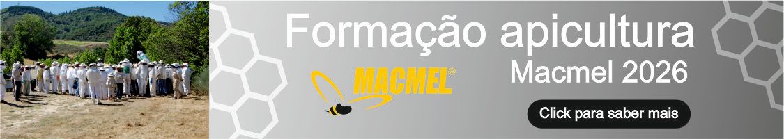 Formação para apicultores Formação apicultura